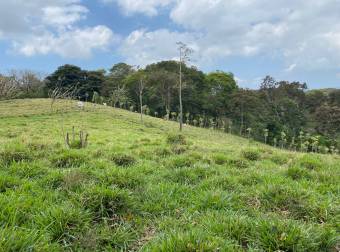 Hermosa Finca Con Vista Lago Arenal