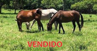 Hermosa Finca Con Vista Lago Arenal