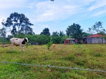 HERMOSA FINCA A LOS ALREDEDORES DEL CENTRO DE GUAPILES.  CG # 21-1231.