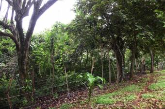 Lote en Venta en Poás, Alajuela. RAH 23-1912