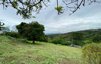 Lote en Venta en Grecia, Alajuela. RAH 23-1996