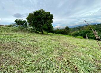 Lote en Venta en Grecia, Alajuela. RAH 23-1996