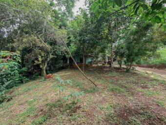 Lote en Venta en San Ramón, Alajuela. RAH 23-7