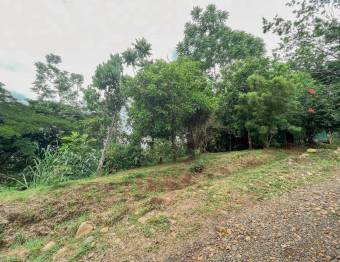 Lote en Venta en San Ramón, Alajuela. RAH 23-7