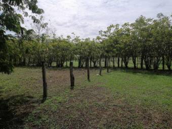 Lote en Venta en Abangares, Guanacaste. RAH 23-828