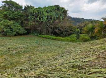 Lote en condominio San Roque, Grecia, Alajuela