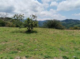 MLS-23-1655 VENTA LOTE OROTINA ALAJUELA