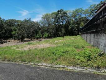 Terreno en Venta en Naranjo, Alajuela MLS #23-1338 CL