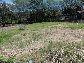 Terreno en Venta en Naranjo, Alajuela MLS #23-1338 CL