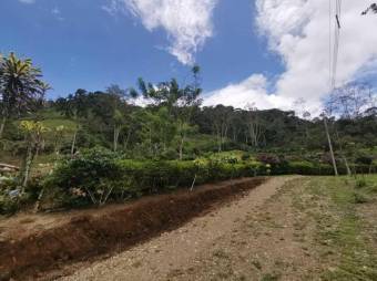 MLS-23-1658 VENTA QUINTA TUIS TURRIALBA 