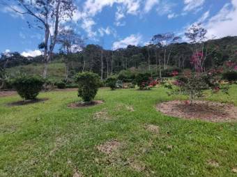 MLS-23-1658 VENTA QUINTA TUIS TURRIALBA 