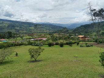 MLS-23-1658 VENTA QUINTA TUIS TURRIALBA 