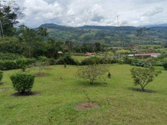 MLS-23-1658 VENTA QUINTA TUIS TURRIALBA 