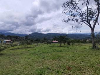 MLS-23-1658 VENTA QUINTA TUIS TURRIALBA 