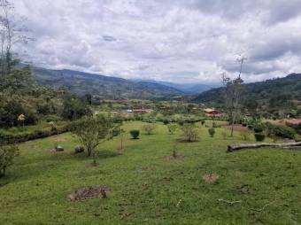 MLS-23-1658 VENTA QUINTA TUIS TURRIALBA 