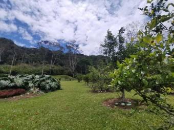 MLS-23-1658 VENTA QUINTA TUIS TURRIALBA 