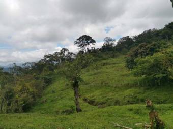 MLS-23-1659 VENTA FINCA ALTO VARAS TURRIALBA 