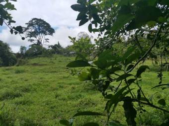 MLS-23-1659 VENTA FINCA ALTO VARAS TURRIALBA 