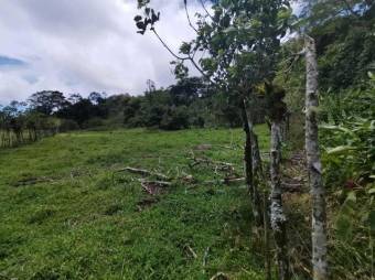 MLS-23-1659 VENTA FINCA ALTO VARAS TURRIALBA 