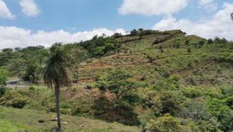 MLS-23-1660 VENTA LOTE OROTINA ALAJUELA