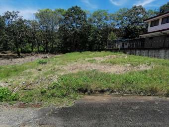 Terreno en Venta en Naranjo, Alajuela MLS #23-1338 CL