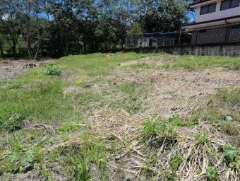 Terreno en Venta en Naranjo, Alajuela MLS #23-1338 CL