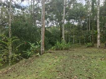 MLS-23-1675 VENTA FINCA TURRIALBA