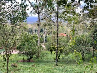 MLS-23-1675 VENTA FINCA TURRIALBA