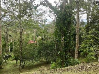 MLS-23-1675 VENTA FINCA TURRIALBA