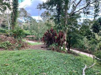 MLS-23-1675 VENTA FINCA TURRIALBA