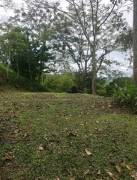 MLS-23-1675 VENTA FINCA TURRIALBA