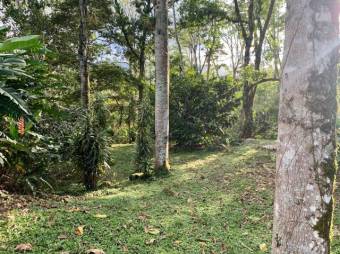 MLS-23-1675 VENTA FINCA TURRIALBA