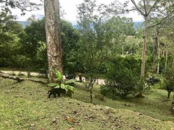 MLS-23-1675 VENTA FINCA TURRIALBA