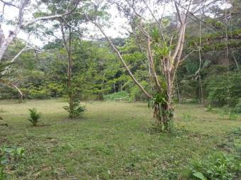 MLS-23-1694 VENTA LOTE GARABITO PUNTARENAS 