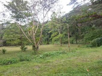 MLS-23-1694 VENTA LOTE GARABITO PUNTARENAS 