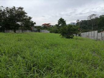 MLS-23-1696 VENTA LOTE LA DOMINICA TURRIALBA 