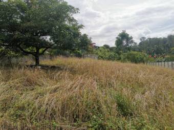 MLS-23-1696 VENTA LOTE LA DOMINICA TURRIALBA 