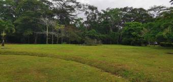 MLS-23-1205 VENTA LOTE GUÁPILES LIMÓN