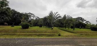 MLS-23-1205 VENTA LOTE GUÁPILES LIMÓN