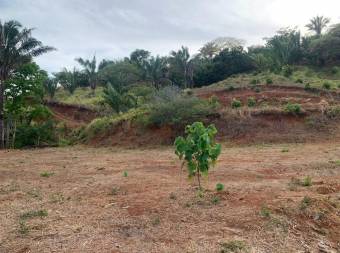 Terreno en Venta en Hojancha, Guanacaste MLS #23-1276CL