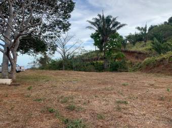 Terreno en Venta en Hojancha, Guanacaste MLS #23-1276CL