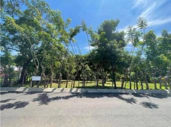 VENTA DE LOTE USO MIXTO Y ALTA DENSIDAD, ALAJUELA, OROTINA, CUATRO ESQUINAS