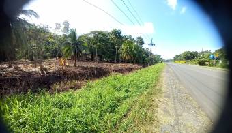 Se vende Lote en Cahuita,