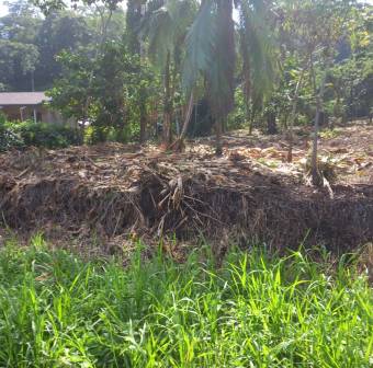 Se vende Lote en Cahuita,