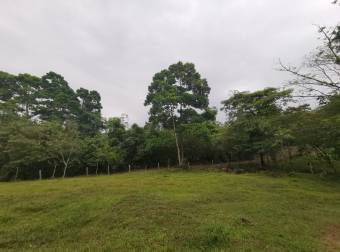 Tengo a la venta hermosa propiedad en El Valle, Katira, Guatuso