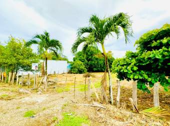 Sale of lot with electricity already installed in Portegolpe, Guanacaste.