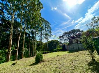 SALE OF LARGE LOT, SAN RAMÓN, LA UNION