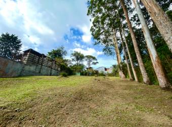 SALE OF LARGE LOT, SAN RAMÓN, LA UNION