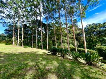 SALE OF LARGE LOT, SAN RAMÓN, LA UNION