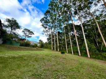 SALE OF LARGE LOT, SAN RAMÓN, LA UNION